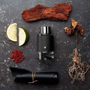 اکسپلوررر (اکسپلور) - مون بلان